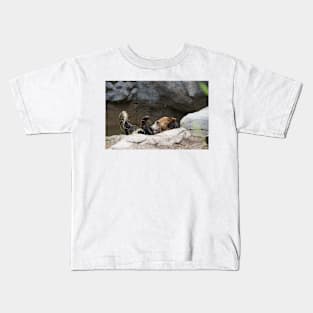 It's a Bear to Bath Kids T-Shirt